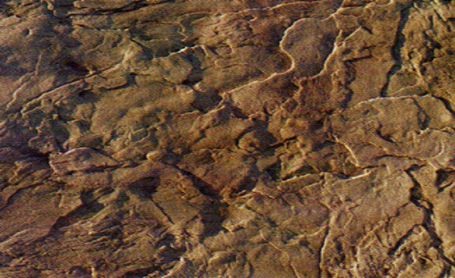 Seamless Roman Slate